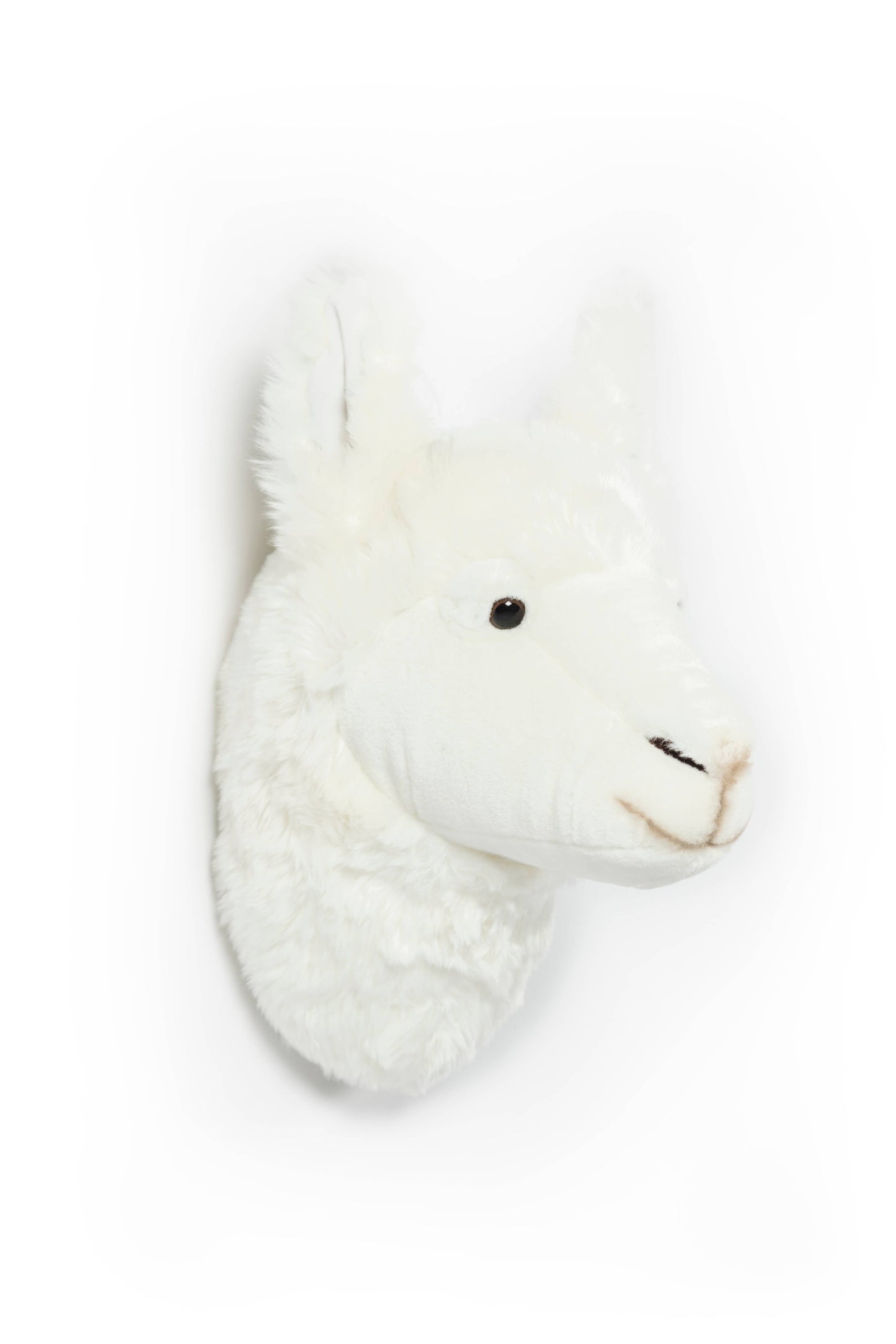 Lily the Llama Plush Wall Decoration