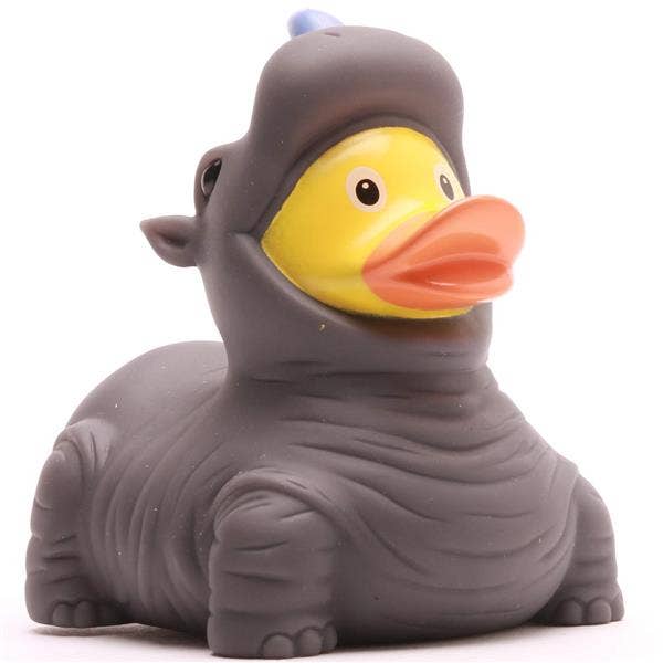 Canard rhinocéros