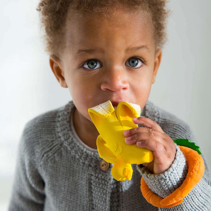 Chew & Shake Baby Gift Set
