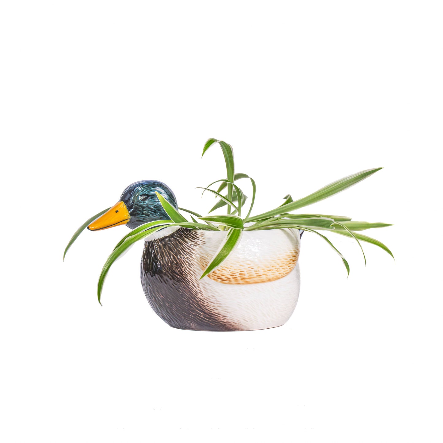 Mini Mallard Duck Planter
