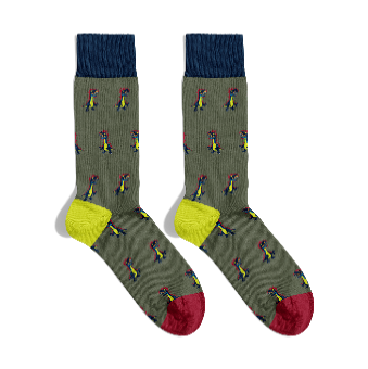 Dinosaur Socks - Khaki