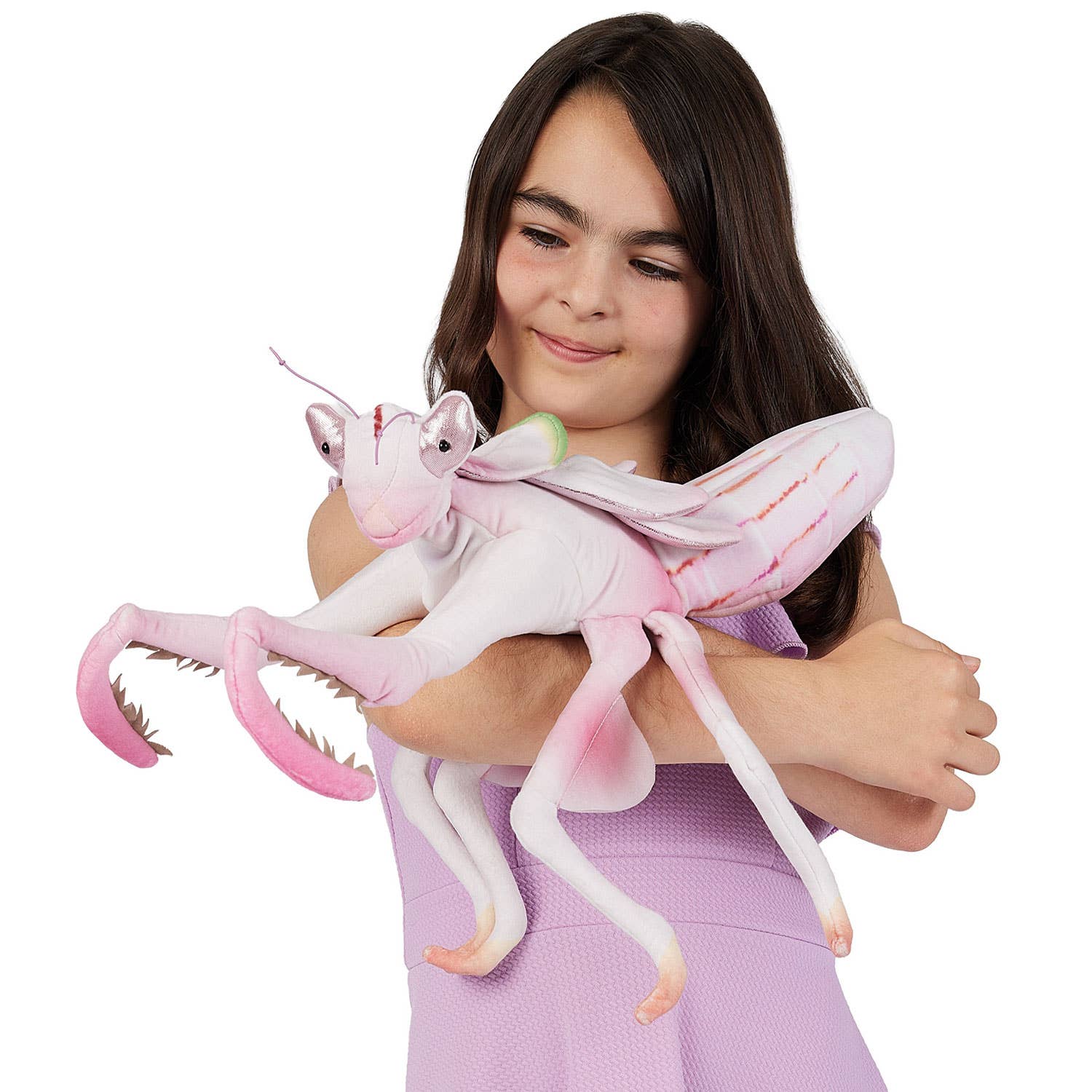 Marionnette à main Mante religieuse / Mante orchidée 3236, marionnette à main Folkmanis Folkmanis réaliste