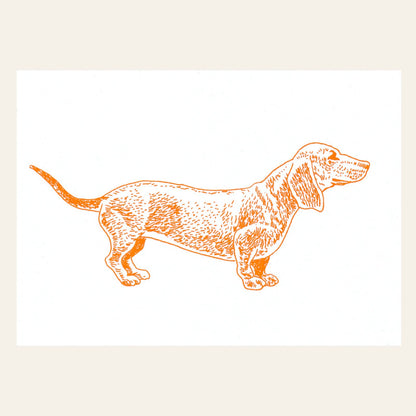 Neon Orange Dachshund Postcard