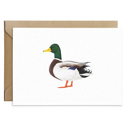 Mallard Duck Greeting Card