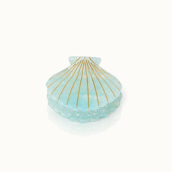 Seashell Hair Clip with Foam