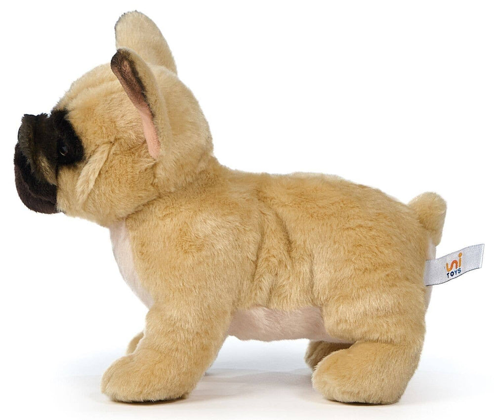 Peluche Bouledogue Français (Beige) - Sans Laisse - 26 cm (Longueur)