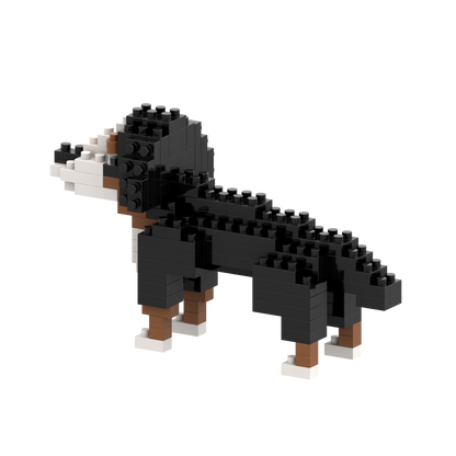 Brixies Saint Bernard