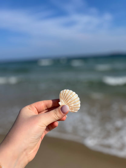 Pince à cheveux Coquillage Rose pailletée