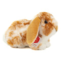 Widderkaninchen Hellbeige-Weiß – 23 cm