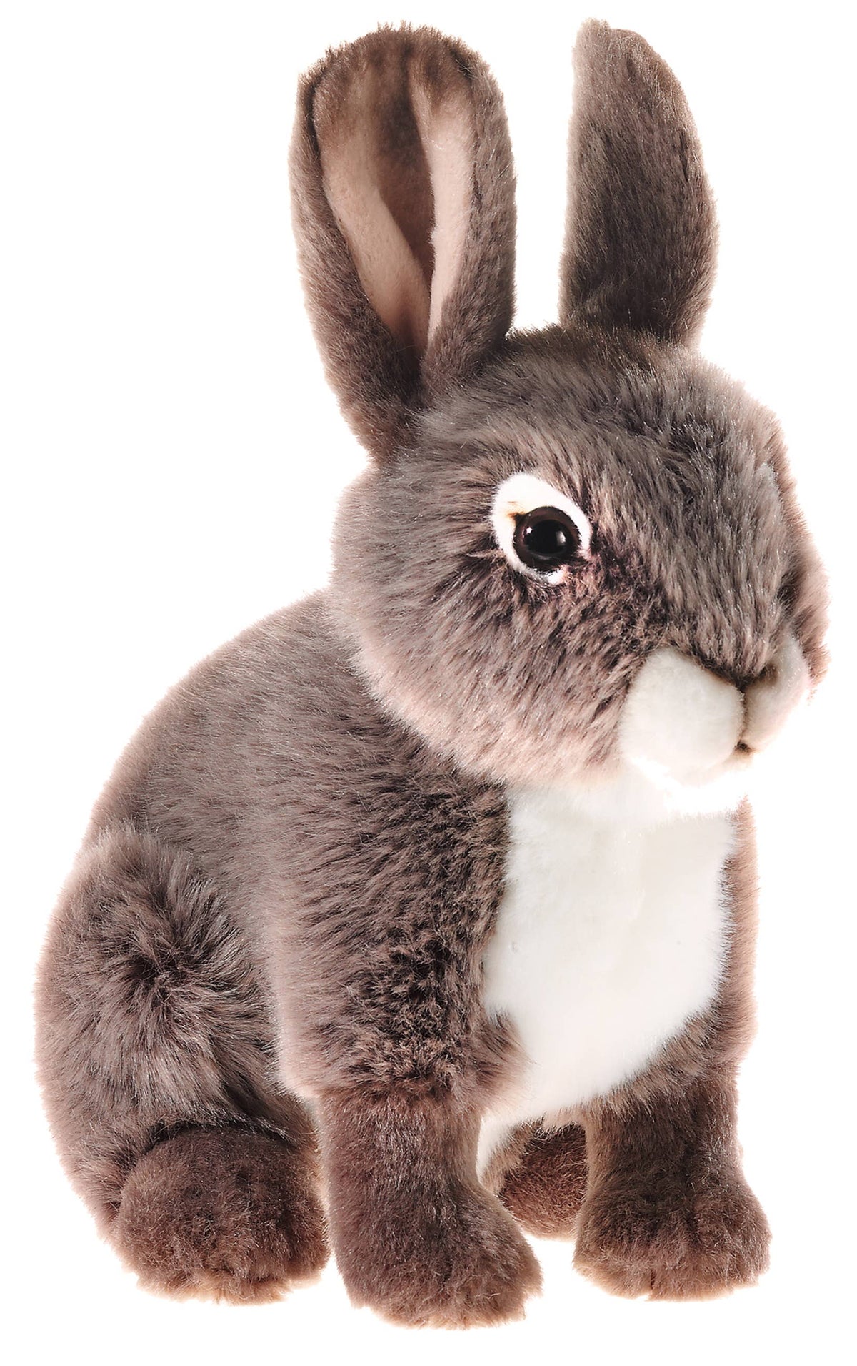 Parc animalier - Lapin