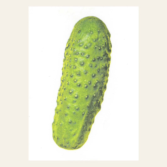 Pickle Postcard