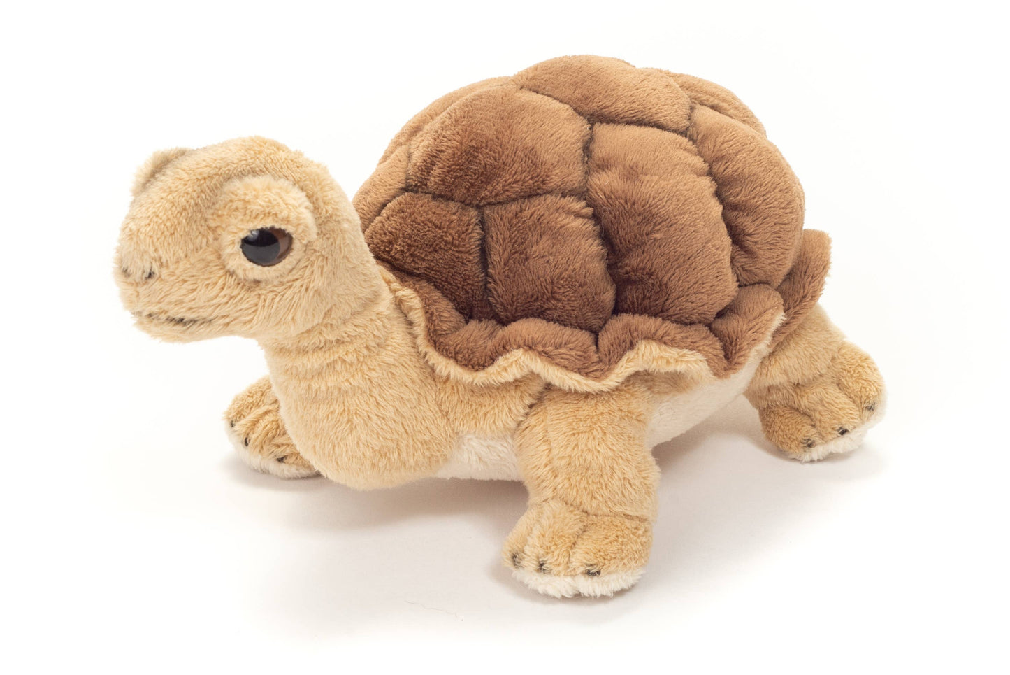 Peluche Tortue