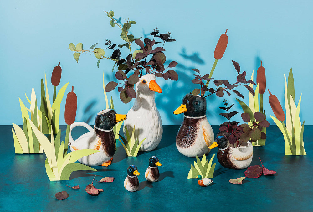 Vase Canard Colvert