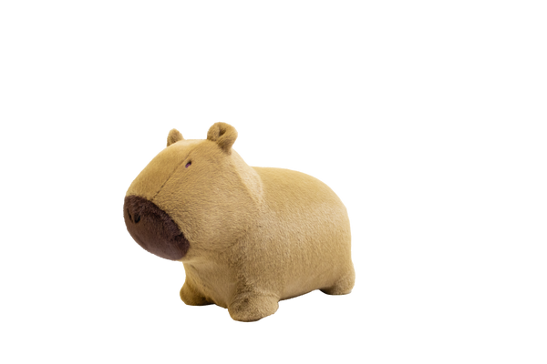 Capybara doux et rebondissant - Wild & Soft