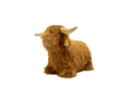 Wild & Soft Bouncy Highland Cow