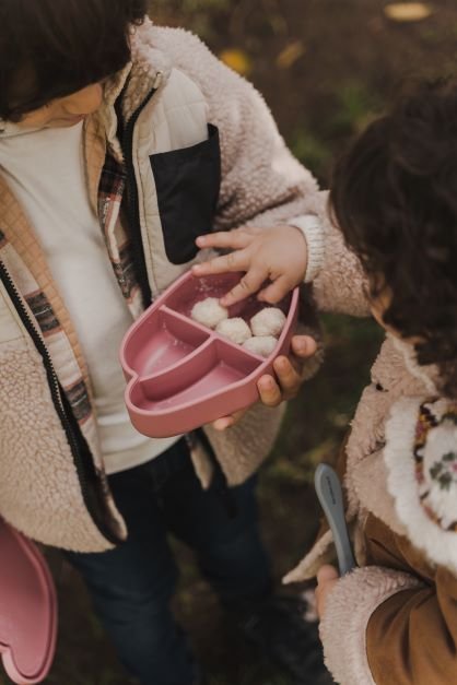 Milo Wild Rose Silicone Lunchbox