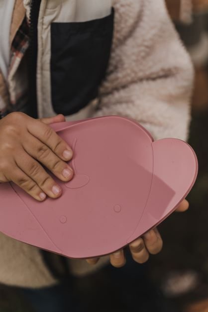 Milo Wild Rose Silicone Lunchbox