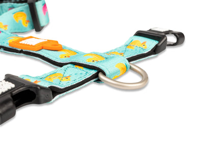 H-Harness - Ducks