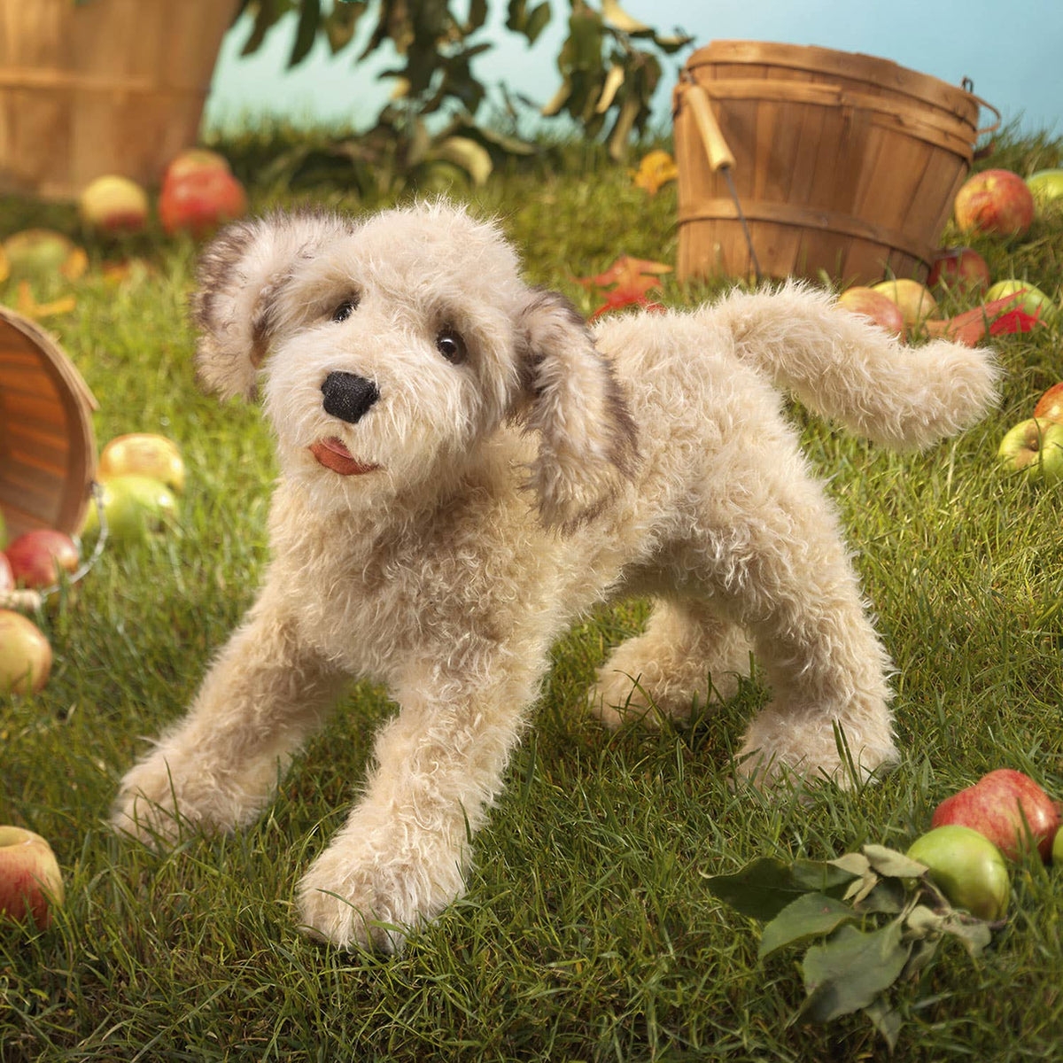 Marionetta Labradoodle