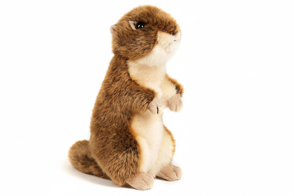 Peluche Écureuil Terrestre Debout