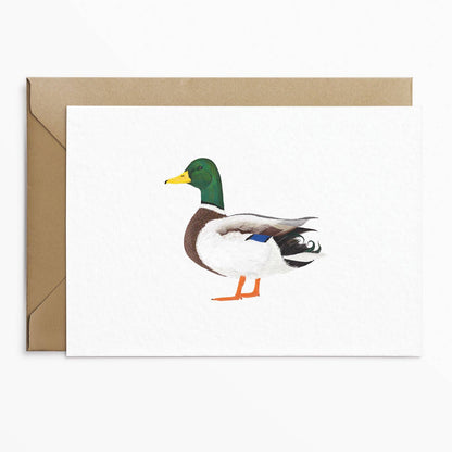 Mallard Duck Greeting Card