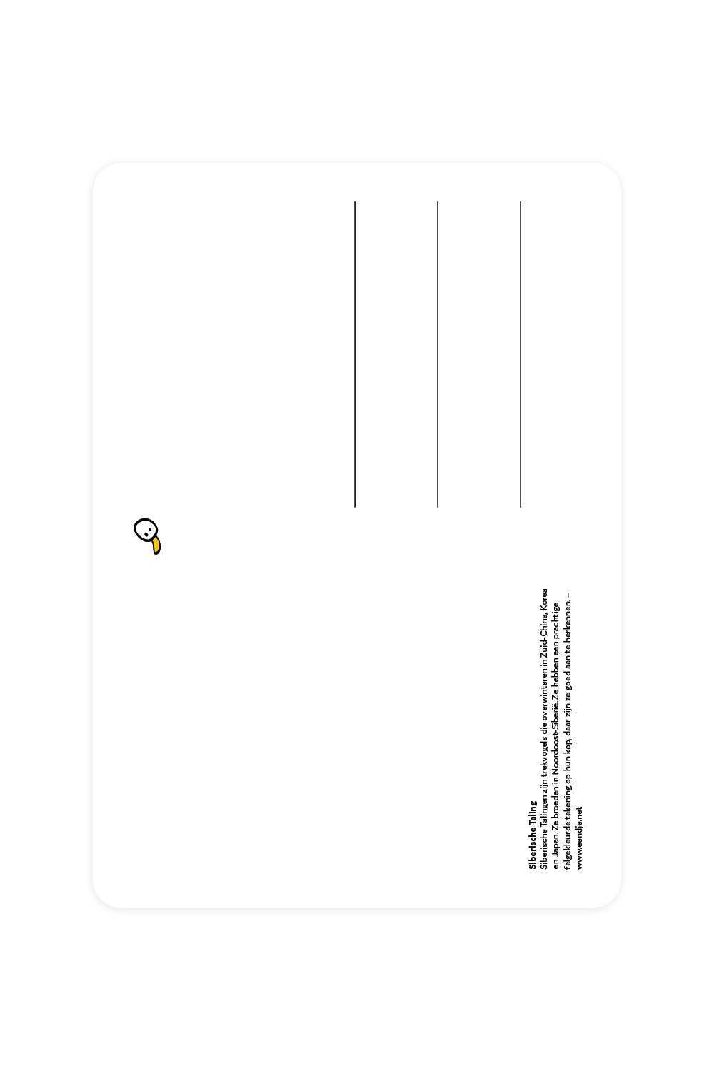 Carte postale avec Sarcelle de Sibérie