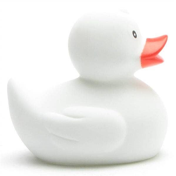 canard classique blanc