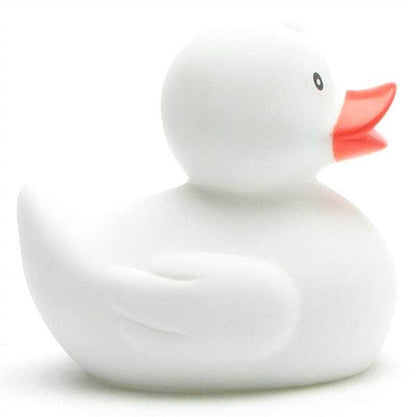 canard classique blanc
