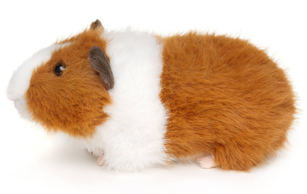 Peluche Cochon Dinde Marron