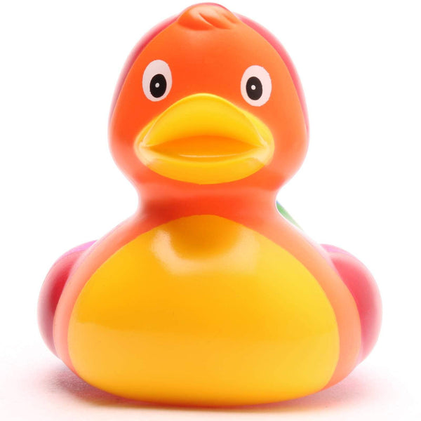Rainbow Duck