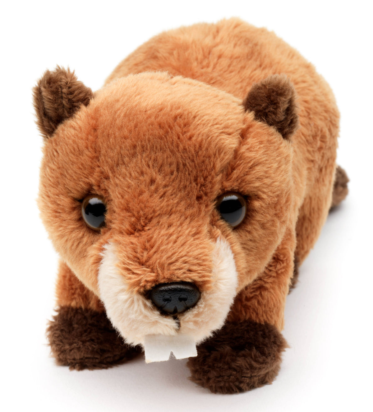 Peluche de castor