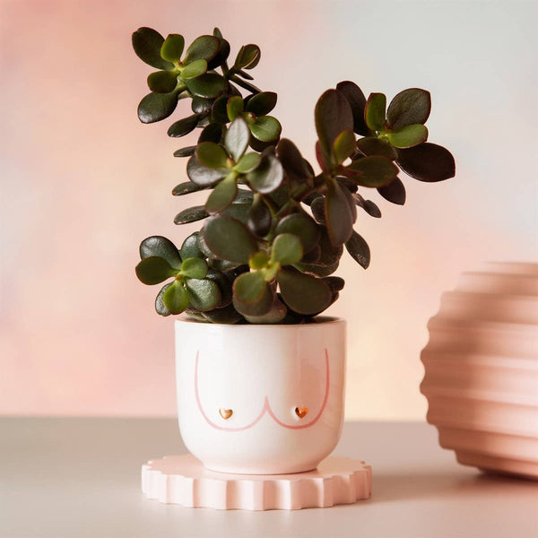 Girl Power "Boobies" Planter