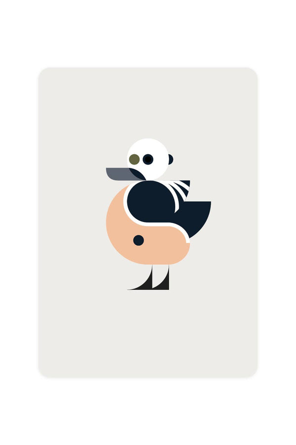 Postcard with Stellers Eider