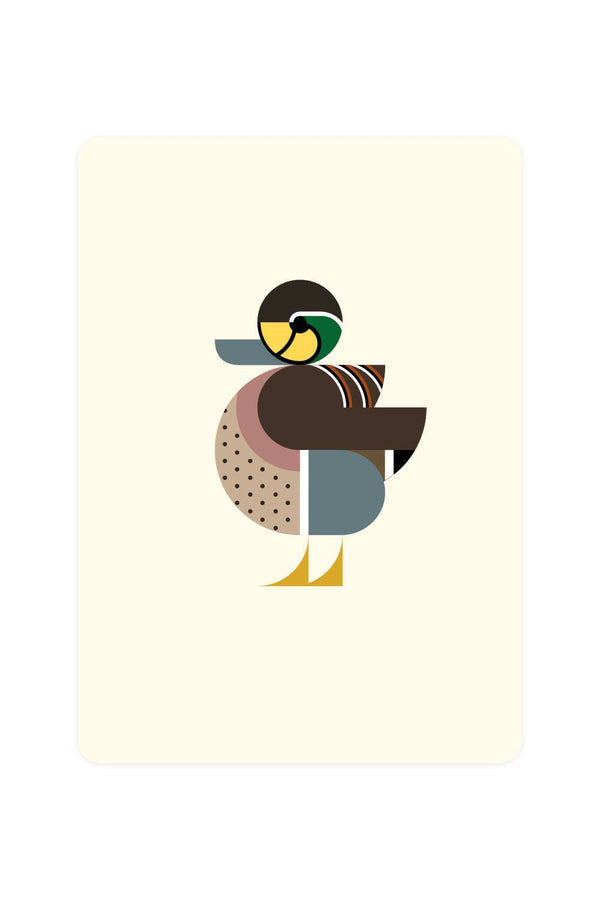 Postcard with Siberian Teal