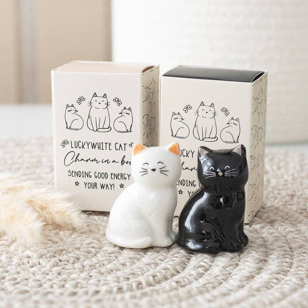 Lucky charms: black and white cats