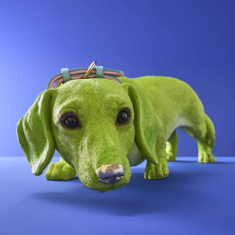 Chien Teckel Wilfried M. Collier, Résine poly verte