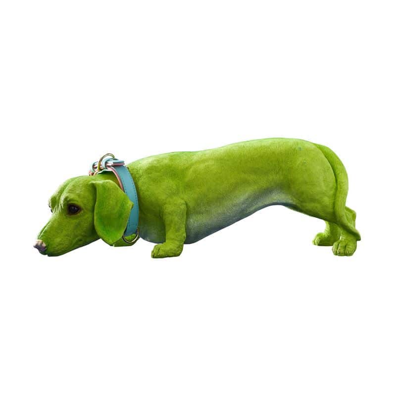 Chien Teckel Wilfried M. Collier, Résine poly verte