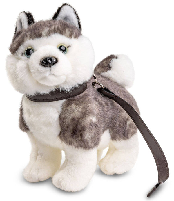 Peluche Chiot Husky avec Laisse Uni Toys