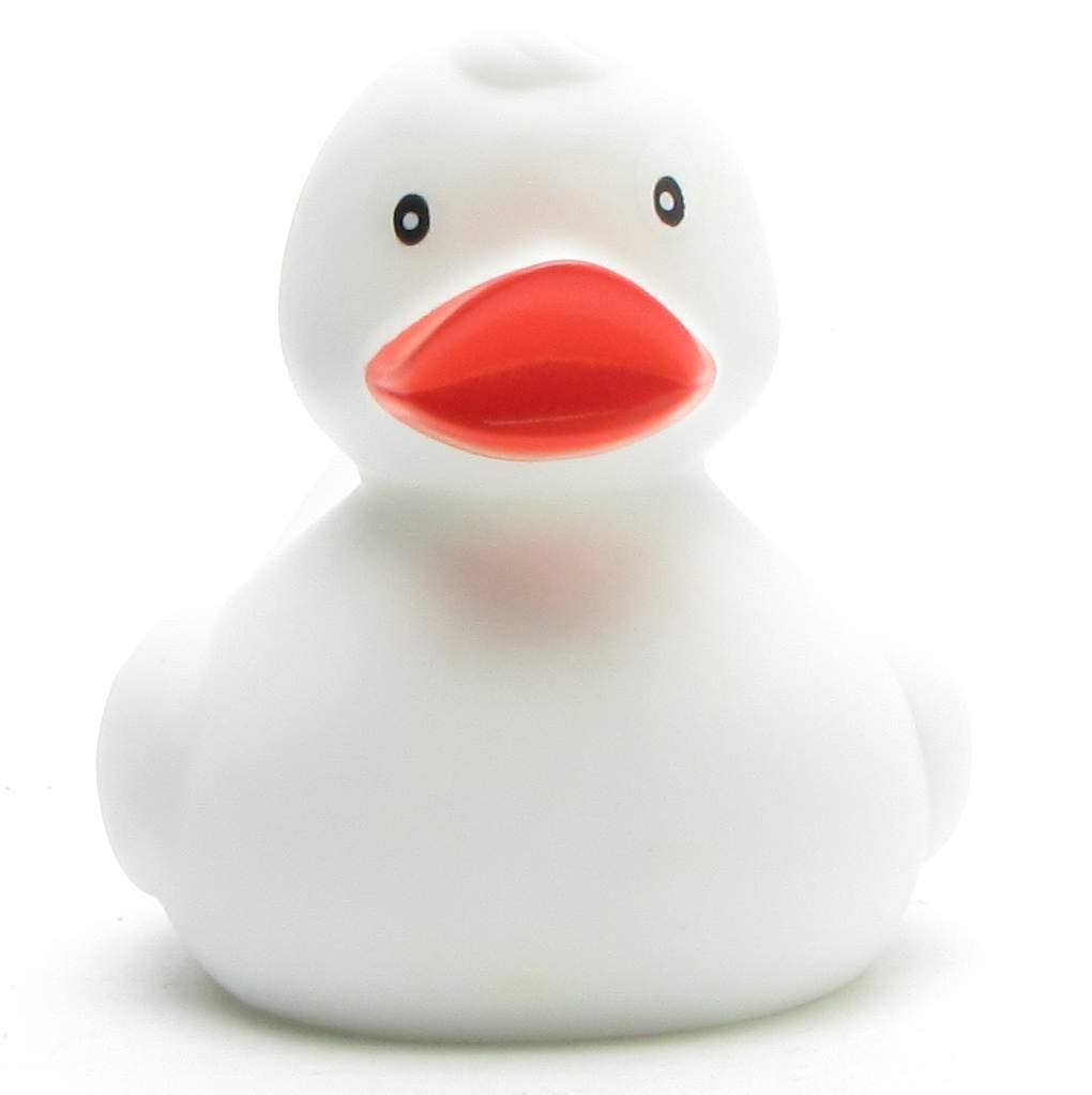 canard classique blanc