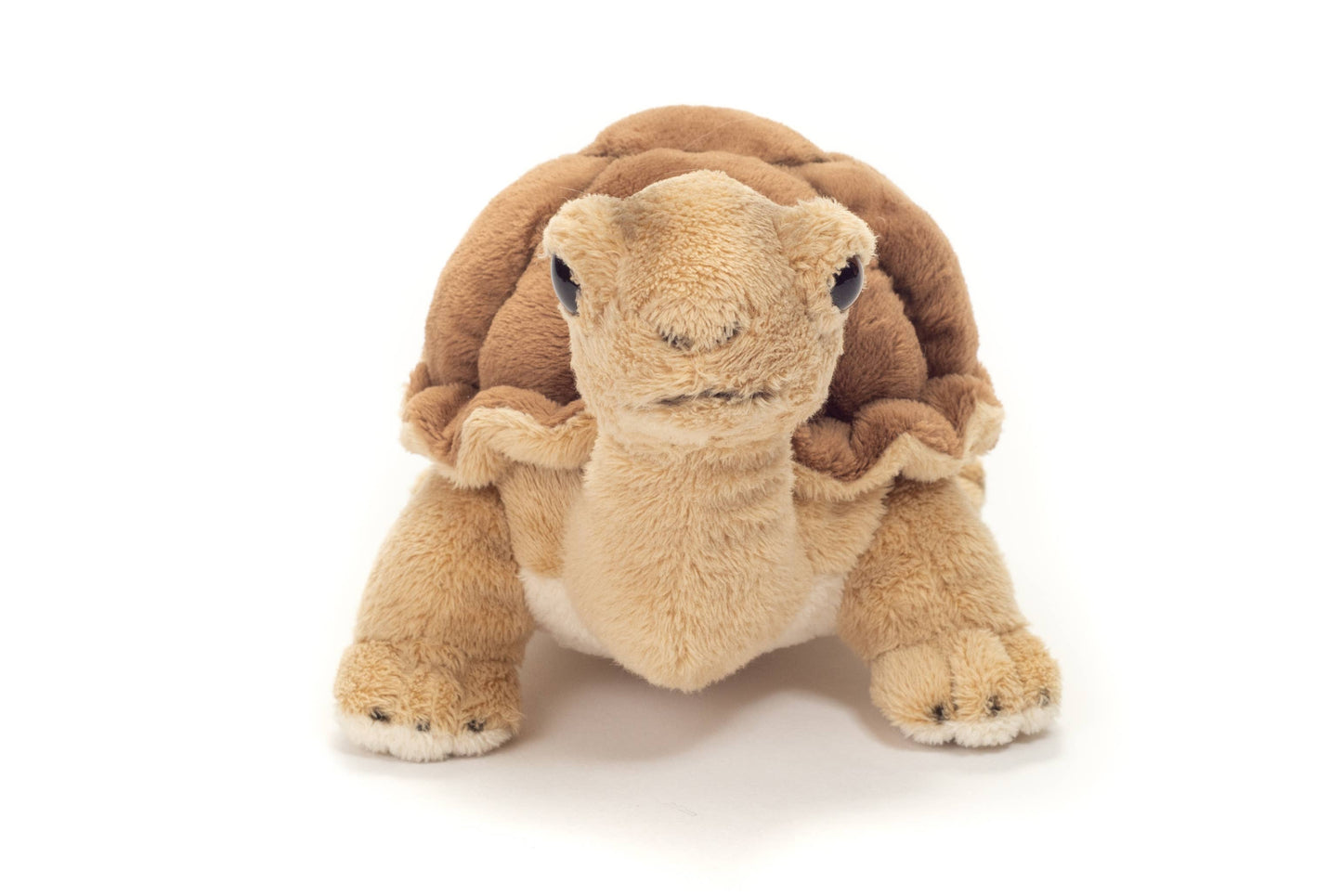 Peluche Tortue