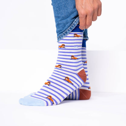 Combed Cotton Animal Socks - Walrus