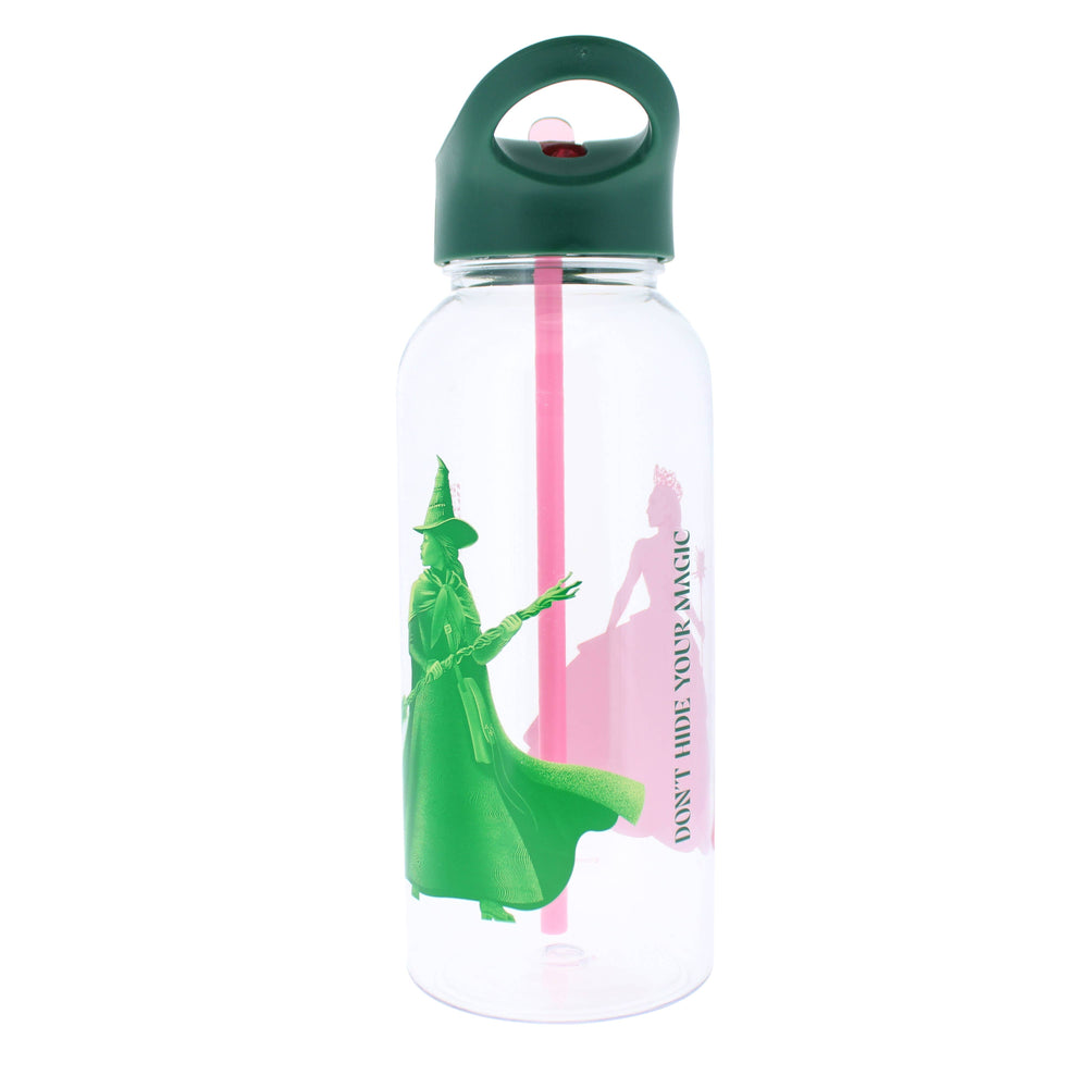 Wicked Gourd – Elphaba and Glinda