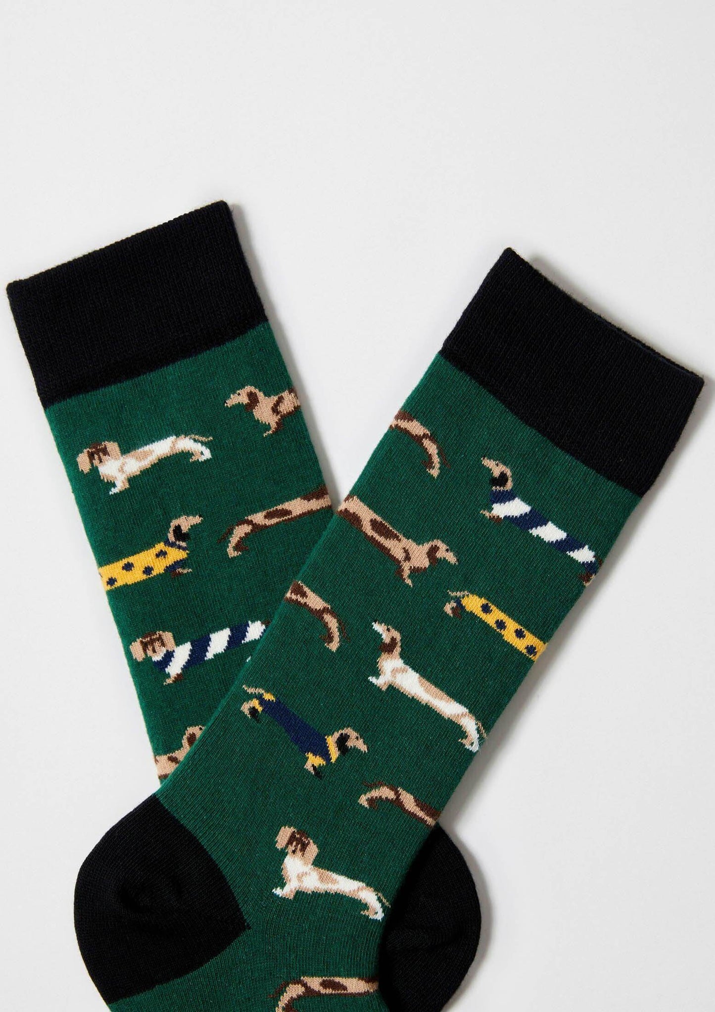 Chaussettes BePets Teckels Vert