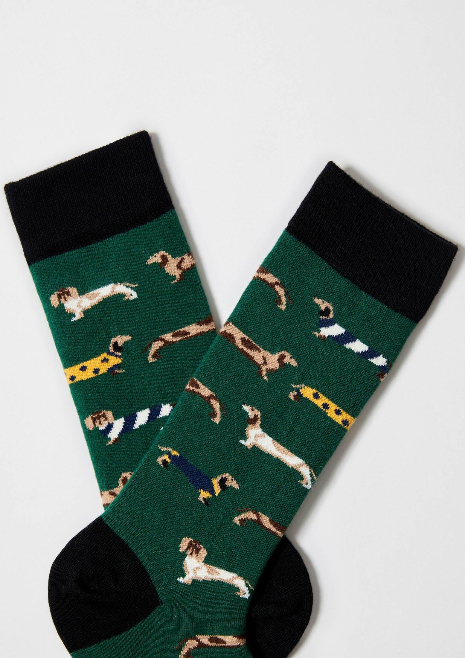Chaussettes BePets Teckels Vert