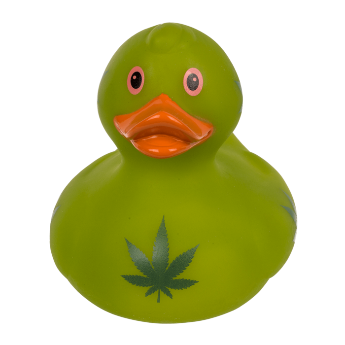 Cannabis duck