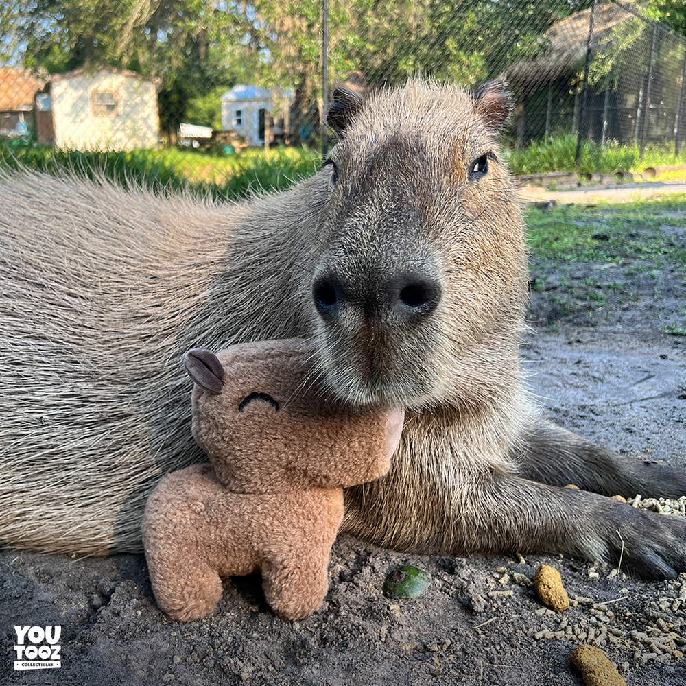 Peluche Capybara – 22,9 cm