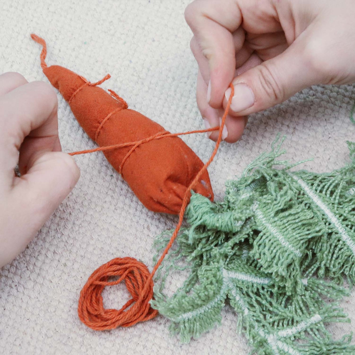 DIY Cathy the Carrot