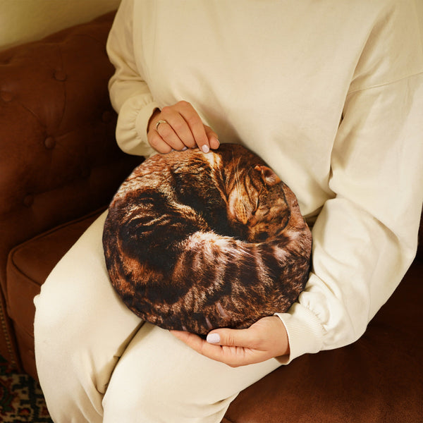Bouillotte chat