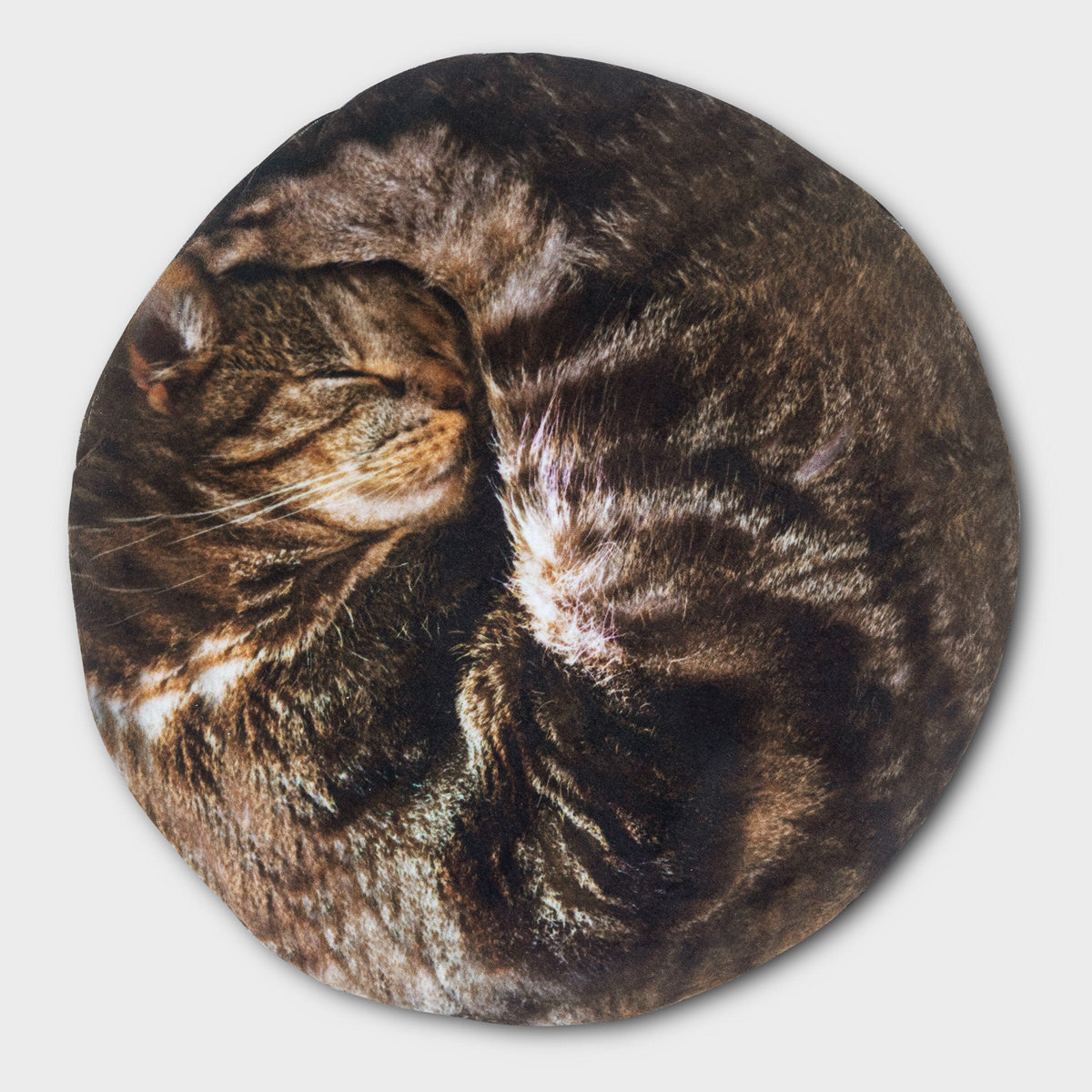 Bouillotte chat