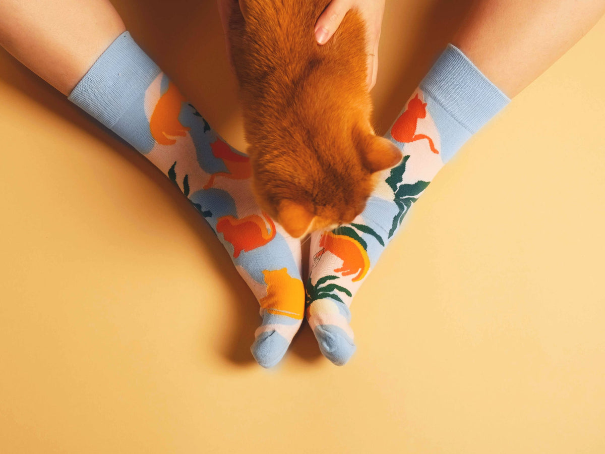 Chaussettes Chats au Soleil